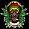 bob-marley-meme-bobmarley-coin-logo.png