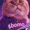 BOOK OF MISSED OPPORTUNITIES (BOMO)