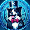BorderCollieBSC (BDCL BSC) BorderCollieBSC (BDCL BSC)