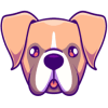 Boxer Inu (BOXER) Boxer Inu (BOXER)