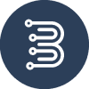 BRMV Token (BRMV) BRMV Token (BRMV)