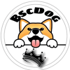 BSCDOG (BSCDOG)