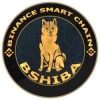 bscShiba (BSHIBA) bscShiba (BSHIBA)