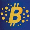 BTC BIZ (BTCBZ) BTC BIZ (BTCBZ)