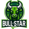 BULL STAR FINANCE (BSF) BULL STAR FINANCE (BSF)