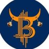 BullcoinBSC (BULL) BullcoinBSC (BULL)