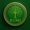 BUMI (BUMI)