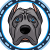 Cane Corso (CORSI)