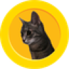 Cat With Neck (CATWN) Cat With Neck (CATWN)