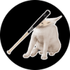 Catbonk (CABO) Catbonk (CABO)
