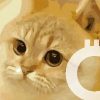 catcoin-cat-coin-logo.jpg