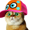 CatWifCap (CWC) CatWifCap (CWC)