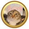 catwifhat (CATHAT) catwifhat (CATHAT)