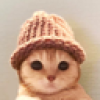 catwifhat (CATWIFHAT) catwifhat (CATWIFHAT)