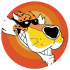 ChesterCoin (CTRFI) ChesterCoin (CTRFI)