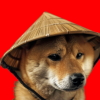 Chinese Doge Wow (CHIDO)
