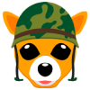 Chiwawa (CHIWA)