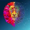 CoinLion (LION) CoinLion (LION)