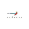 colr-coin-colr-coin-logo.png colr-coin-colr-coin-logo.png