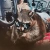 crackcoon-chewy-coin-logo.png crackcoon-chewy-coin-logo.png
