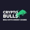 Cryptobulls: Exchange from United Arab Emirates