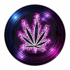 DarkKush (DANK) DarkKush (DANK)