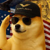 DegeCoin (DEGE) DegeCoin (DEGE)