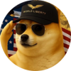 DegeCoin (SOL) ($DEGE) DegeCoin (SOL) ($DEGE)
