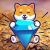 diamondshiba-ds-coin-logo.png