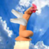 Dildo Rocket Chicken (DRC)