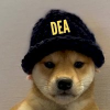 Dog Enforcement Agency (DEA) Dog Enforcement Agency (DEA)