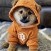 DOG•GO•TO•THE•MOON (DOG) DOG•GO•TO•THE•MOON (DOG)