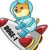 DOGE-1 (DOGE-1)