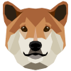 DogeCash (DOGEC) DogeCash (DOGEC)