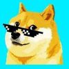 Dogelogy (DOGE 0.1)