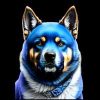 Dogepay Network (DOPAY) Dogepay Network (DOPAY)