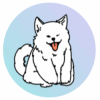 DogeZoo (DZOO) DogeZoo (DZOO)