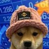 Dogwifhat BSC (WIF) Dogwifhat BSC (WIF)