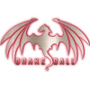 DrakeBall Token (DBALL) DrakeBall Token (DBALL)