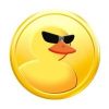 DuckChain Token (DUCK)