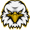 Eagle Vision (EVI) Eagle Vision (EVI)