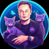 Elon Cat (ELONCAT)