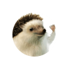 Elon Hedgehog (SHRUBSOL)