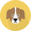 Ever Doge Coin (EDC) Ever Doge Coin (EDC)