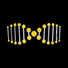 extraDNA (XDNA) extraDNA (XDNA)