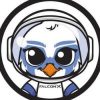 FalconX (FALCX) FalconX (FALCX)