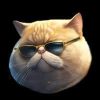 FAT CAT (FATCAT) FAT CAT (FATCAT)