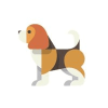 FIDO Token (FIDO) FIDO Token (FIDO)