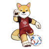 Fifa Inu (FINU)