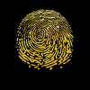 FingerPrint (FGP) FingerPrint (FGP)